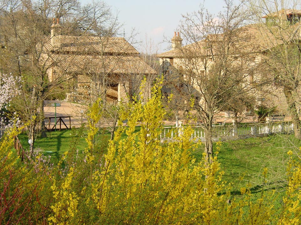 foto001