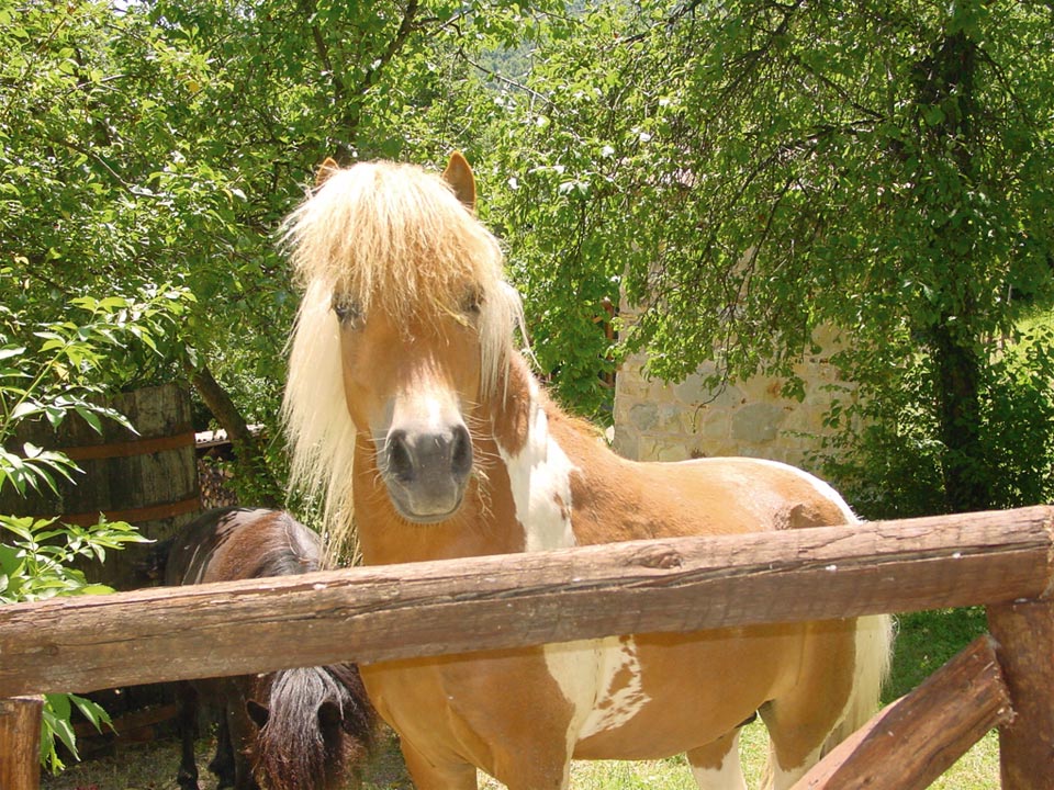 foto039